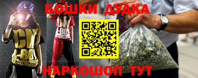 индика Тверь