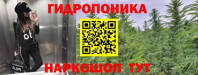 mdpv Тара