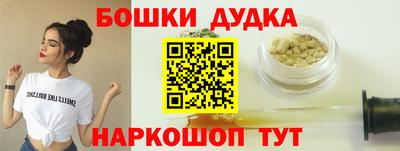 индика Тверь