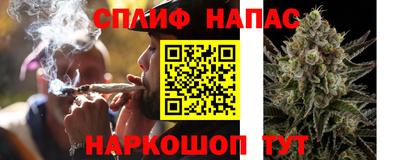 индика Тверь