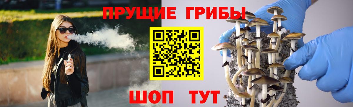 Псилоцибиновые грибы Psilocybine cubensis Сызрань